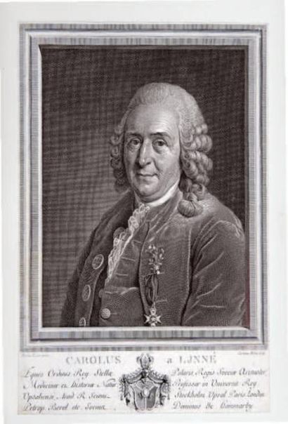 Carl von LINNÉ (1707-1778) naturaliste et...