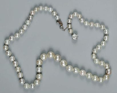 Collier composé de quarante-neuf perles fines...