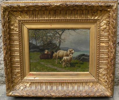 William Baptiste BAIRD (1847-1917)
Troupeau...