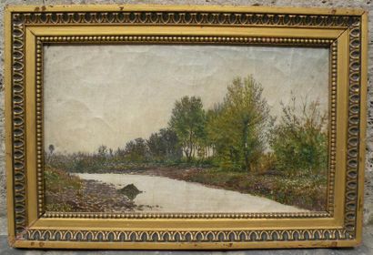 CAVALLO PADUZZI
Chemin forestier Huile sur...