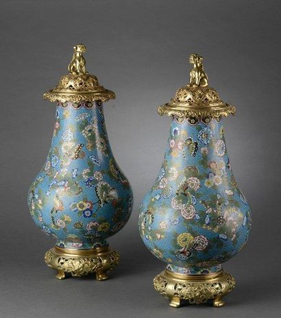 Paire de vases en bronze et émaux cloisonnés
Chine,...