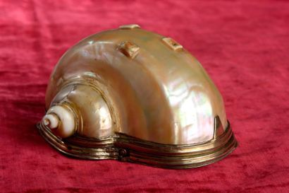 Boîte en coquillage, nautile (?) à double...