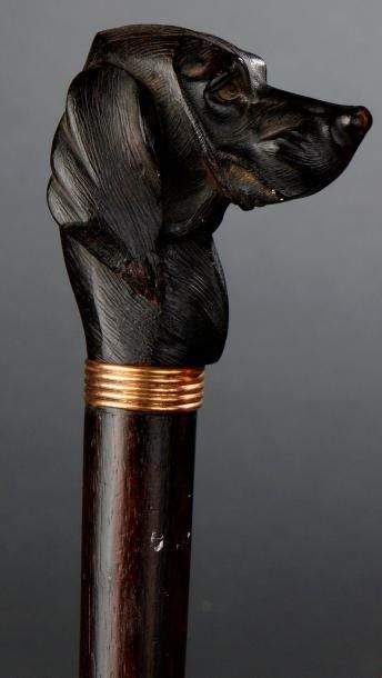 Canne à pommeau en tête de chien, bague dorée,...