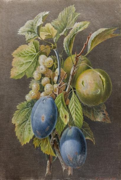 École FRANCAISE 1840, F. BERNARD
*** Grappe...