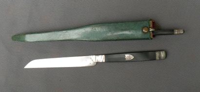 Deux couteaux à lame argent. Dans un étui...