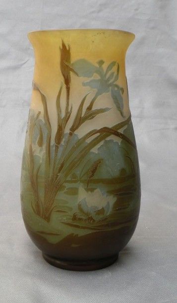 Émile GALLÉ (1846-1904)
Vase ovoïde allongé...