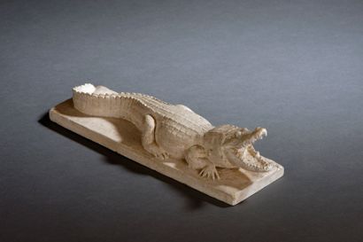 École FRANÇAISE du XXe siècle
Crocodile Plâtre....