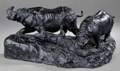 Albert HAGER (1857-1940)
Rhinocéros chargeant...