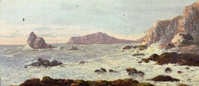 Pol NOËL (XIXe-XXe siècle)
Falaises Huile...