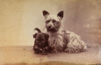 OTTOMAR ANSCHÜTZ (1846-1907)
Portraits de...