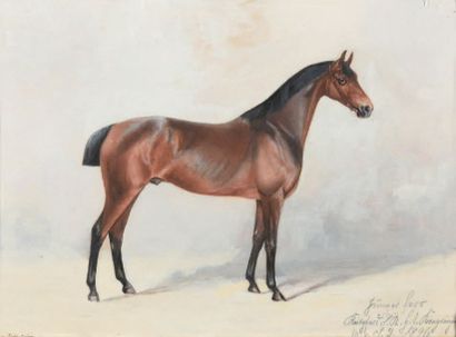 École de la fin du XIXe siècle
Cheval de...