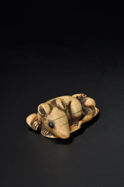 Netsuke en ivoire Japon, XIXe siècle Représentant...