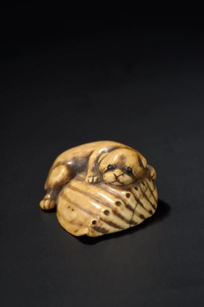 Netsuke en ivoire Japon, école de Kyoto,...