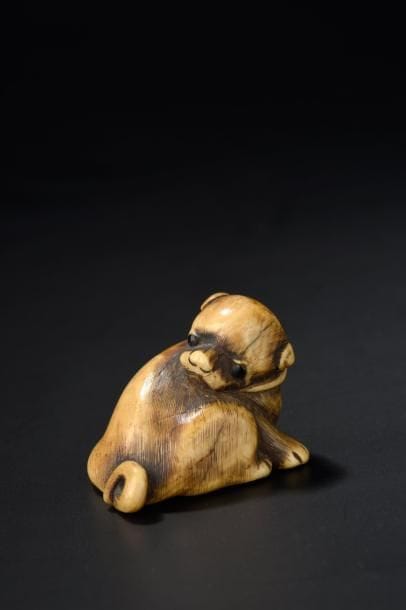 Netsuke en ivoire Japon, XIXe siècle Représentant...