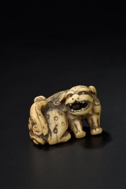 Netsuke en ivoire Japon, XIXe siècle Shishi...