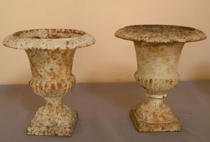 Deux vases Mèdicis en fonte. H. 25 cm