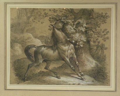D'après Horace VERNET (1789-1863)
Cheval...