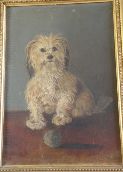 Ecole Française vers 1900
Portrait de chien...