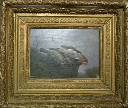 ECOLE FRANCAISE DU XIXème siècle
Deux oiseaux...