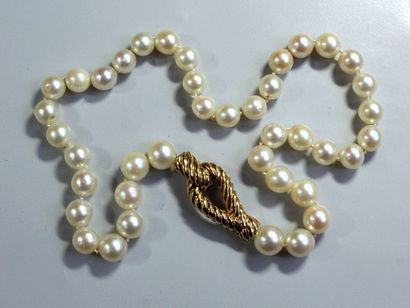 Collier de 40 perles de culture en légère...