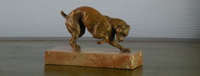 Bouledogue en bronze, XIXème siècle

H. 12...
