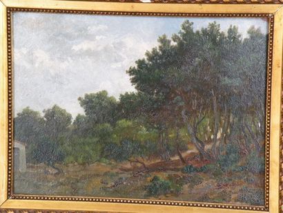 T Jourdan (1833 - ?)


Le sentier 

Huile...