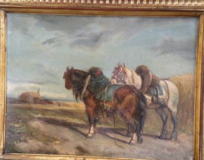 Ecole FRANÇAISE vers 1860


Deux chevaux...