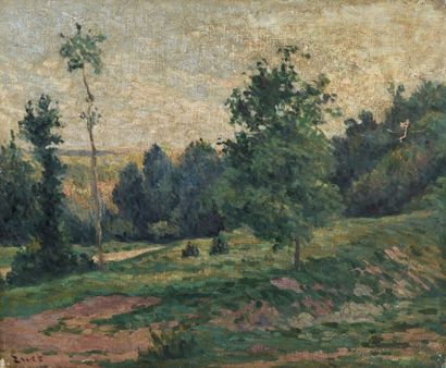 Maximilien Luce (1858-1941)

Paysage, les...