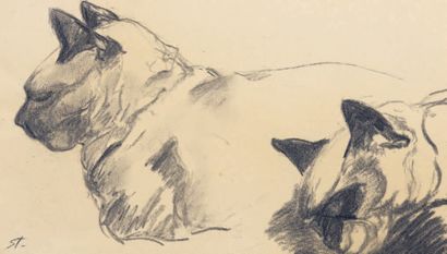 Théophile Alexandre STEINLEN (1859-1923)

Couple...