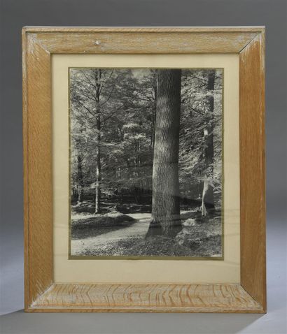 Étienne KOHLMANN (1903-1988)
Suite de trois...