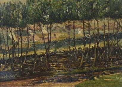 PEROL (XXe siècle)
Vue de forêt, 1952
Huile...