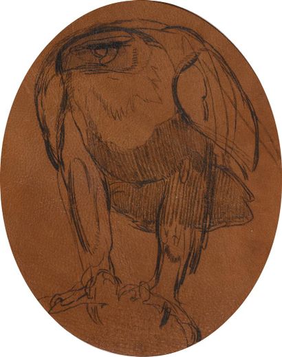 Paul JOUVE (dans le goût de)
Aigle royal
Condor...