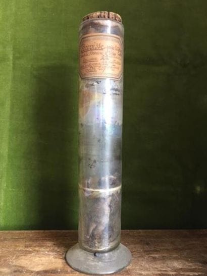 Éprouvette ancienne contenant une écrevisse...