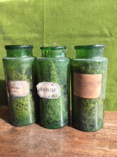 Lot de botanique début XXe siècle présentant...