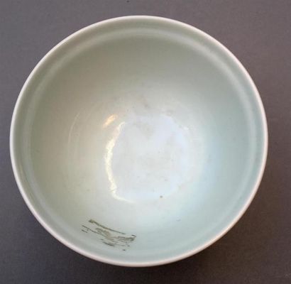 Bol en porcelaine monochrome rose
Chine
L'extérieur...