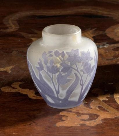 Émile GALLÉ (1846-1904)
Petit vase aux Renoncules
Épreuve...
