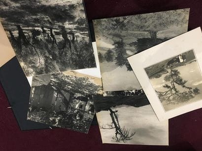APKAR
Ensemble de 12 etudes photographies...