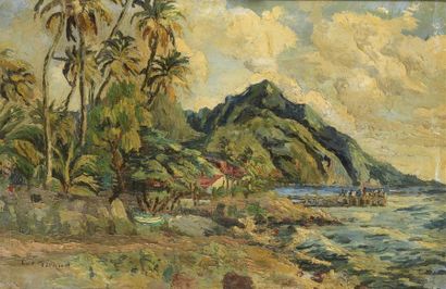 Luc GIRAUD
Vue de Guadeloupe
Huile sur toile...