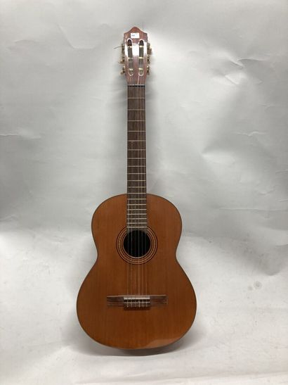 Guitar (damaged, broken)