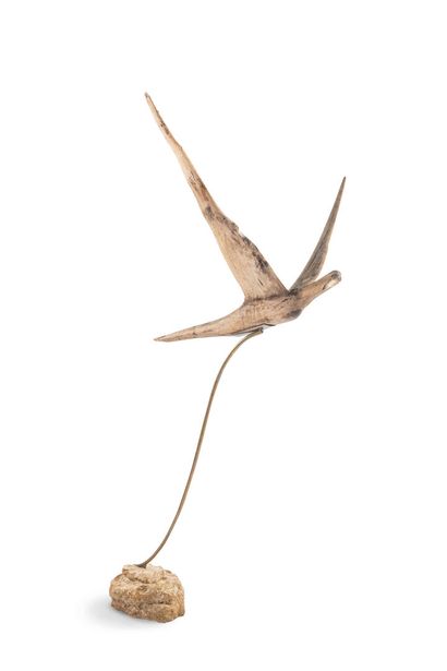 Monoxyle sculpture of a large frigate bird...