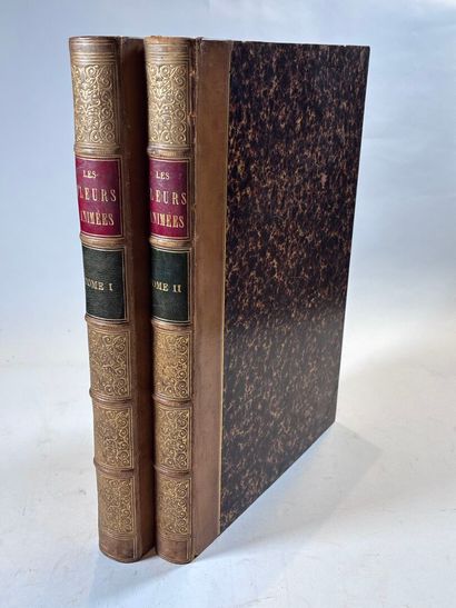 GRANDVILLE (J.J.). Les fleurs animées. Paris,...