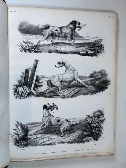 BAUDRILLART- DE QUIGERY. Dictionnaire des...