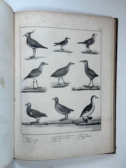 BAUDRILLART- DE QUIGERY. Dictionnaire des...