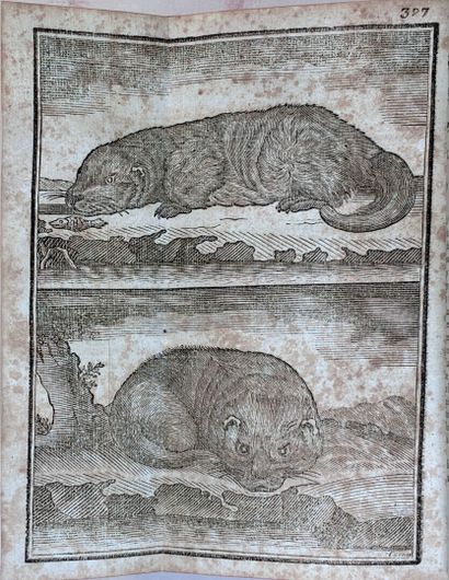 LE VERRIER DE LA CONTERIE. Vénerie normande,...