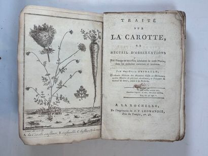 BRIDAULT. Traité sur la carotte… La Rochelle,...