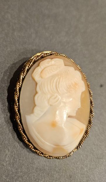 Two shell cameos with a woman's profile,...