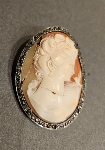 Two shell cameos with a woman's profile,...