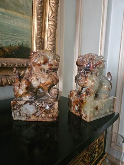 Pair of Phô dogs in hard stone on rectangular...