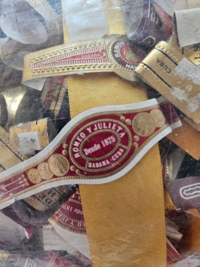 Cigar ring collection