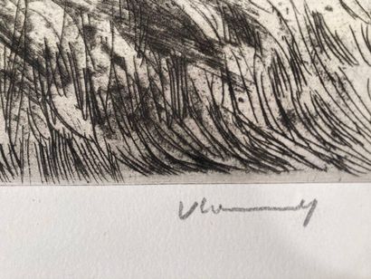 Maurice de VLAMINCK (1876-1958)
The plain...